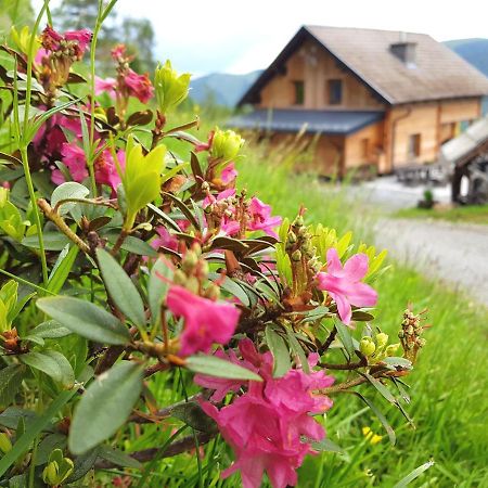 Almhuette Kristabauer Villa Predlitz Kültér fotó